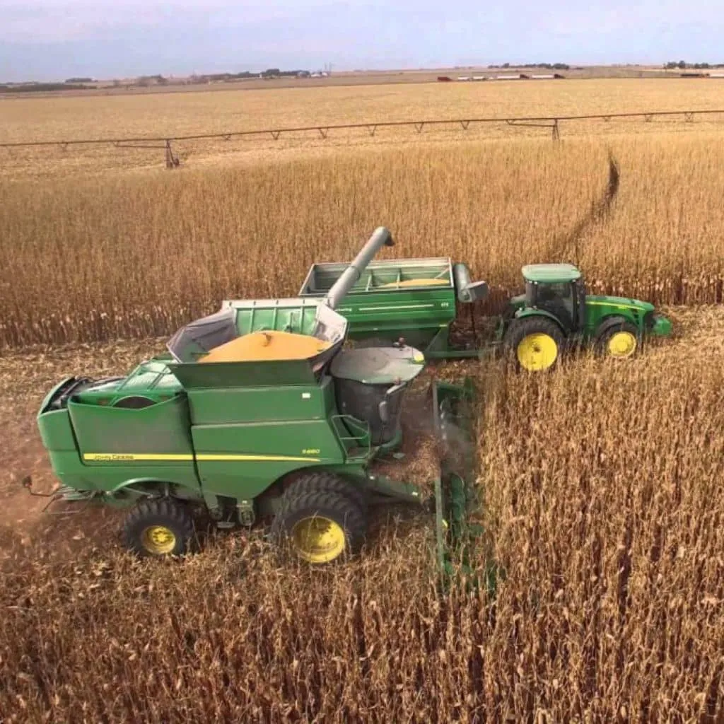 Maize-Being-Harvested-slide-comp